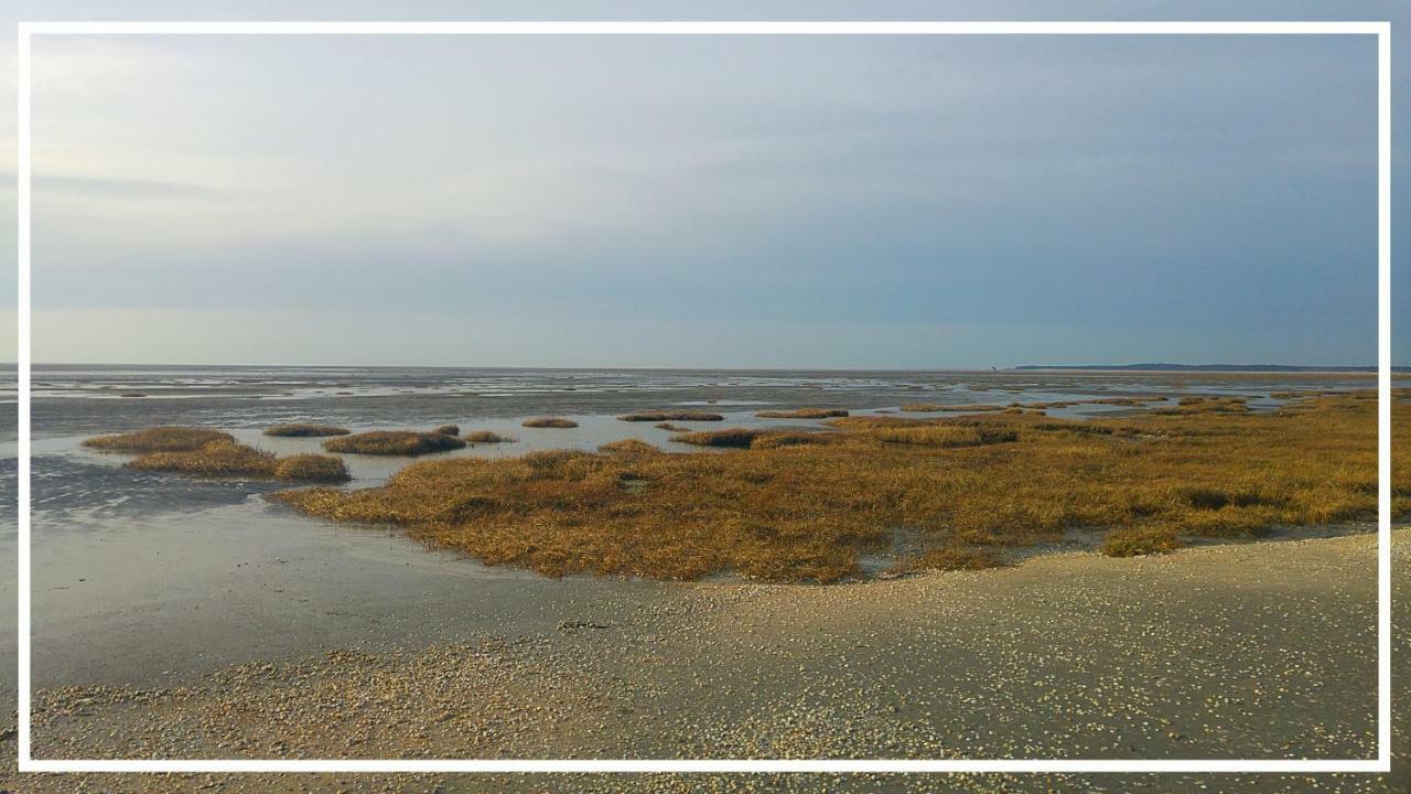 Odyssee Gite Sur Peniche Saint-Valery-sur-Somme Exterior photo
